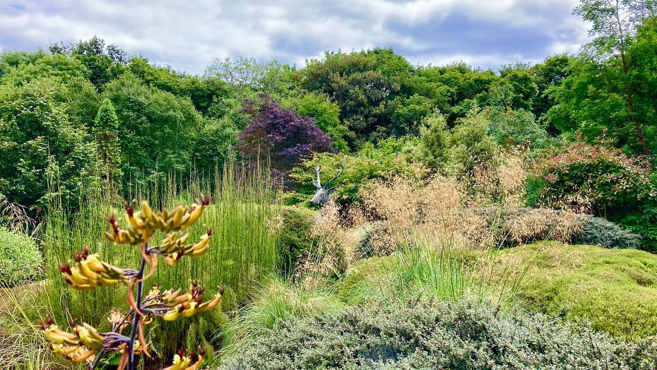Pinetum Garden in Cornwall.