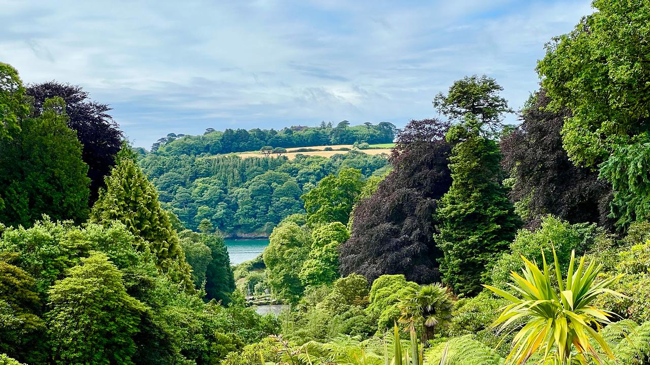 Trebah ist eine Gartenanlage mit subtropischem Bewuchs in Cornwall.