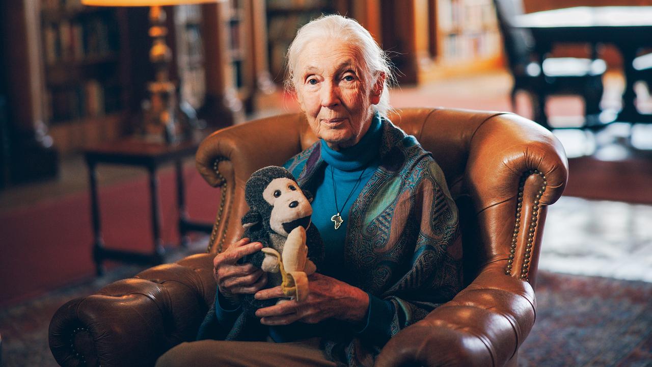 Goldener Herbst - Legenden reden übers Leben: Jane Goodall