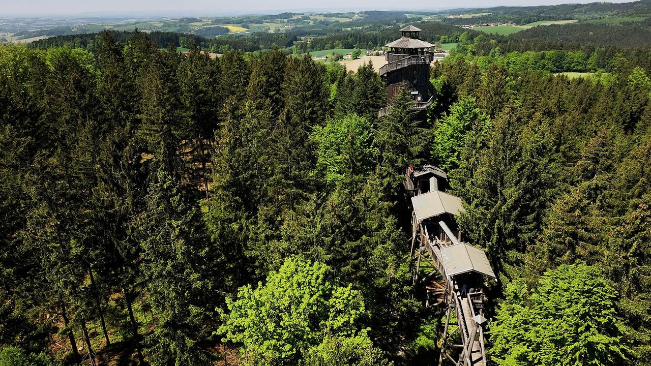 "G’sunder Sommer in Österreich: Die Kraft der Natur": Baumkronenweg