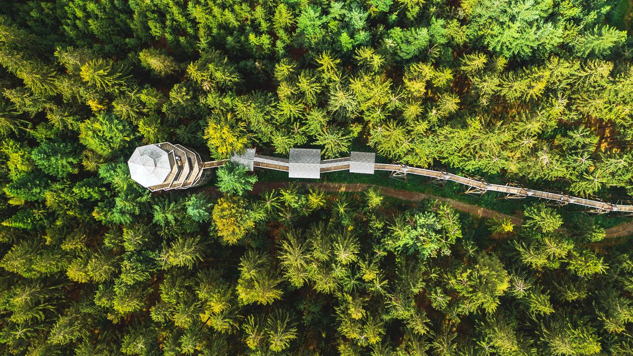 "G’sunder Sommer in Österreich: Die Kraft der Natur": Baumkronenweg
