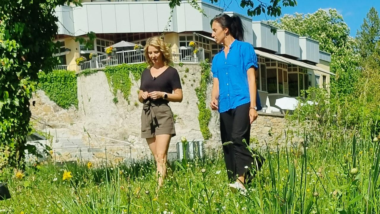 "G’sunder Sommer in Österreich: Die Kraft der Natur": Christine Reiler, Monika Rotarski