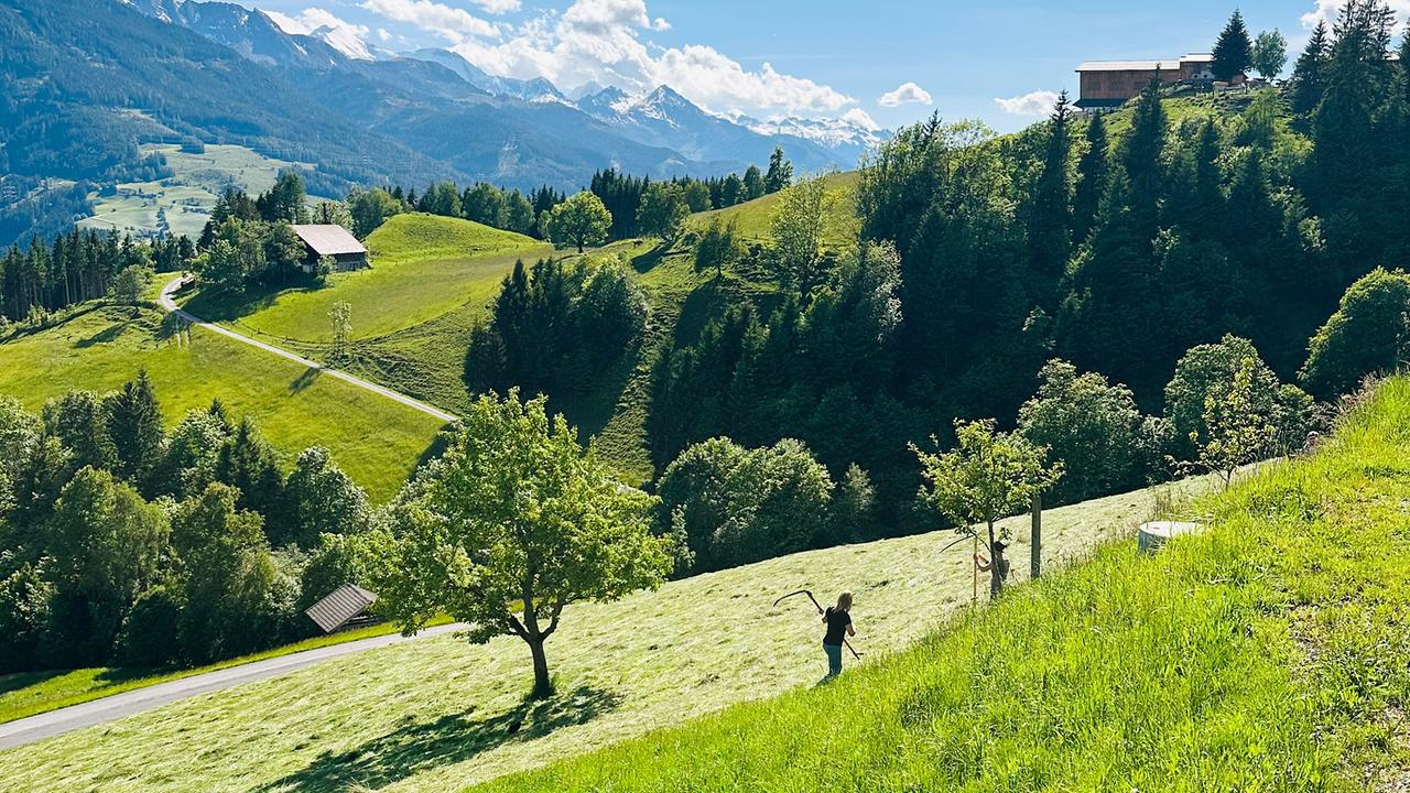 "G’sunder Sommer in Österreich: Die Kraft der Bewegung":  Dreharbeiten in den Bergen mit Christine Reiler – beim Sensenmähen