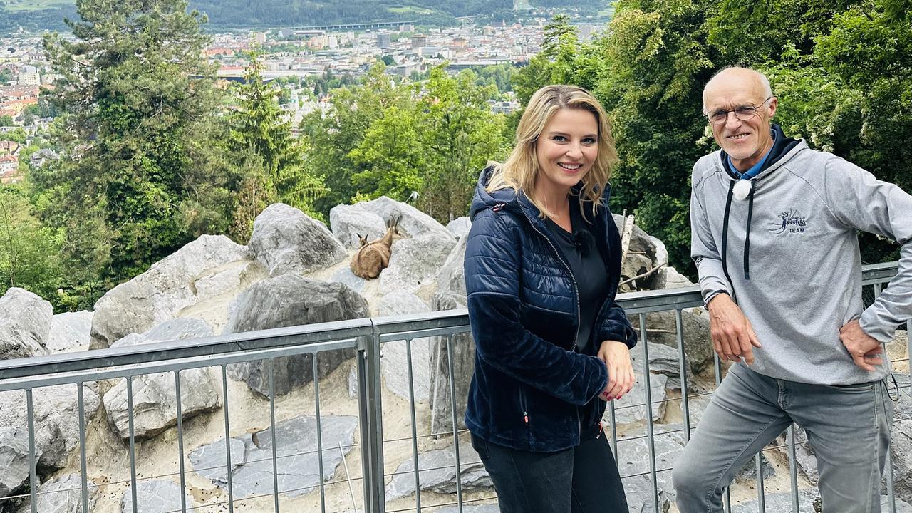 "G’sunder Sommer in Österreich: Die Kraft der Bewegung": Christine Reiler und Toni Innauer im Innsbrucker Alpenzoo. Skisprung-Legende Toni Innauer ist vom gesundheitlichen Nutzen durch Bewegung überzeugt.