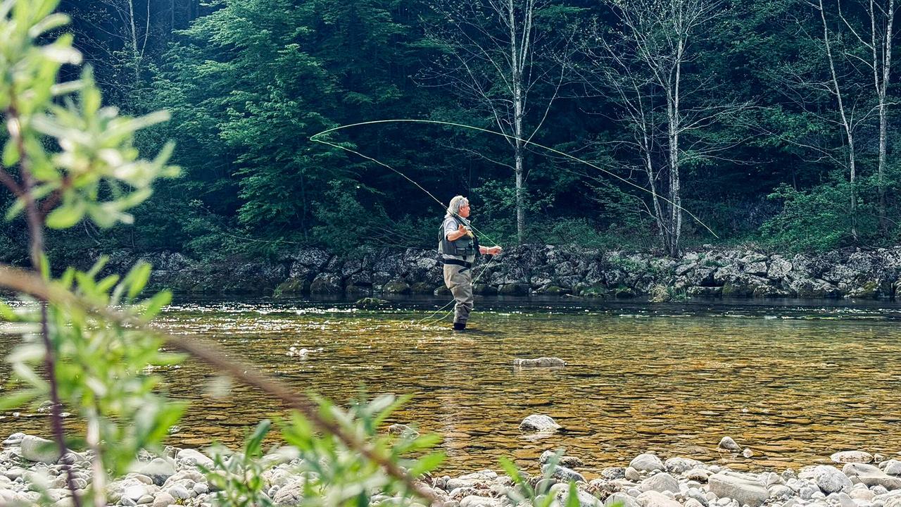 © ORF/Kiwi TV Franz Rosenberger beim Fliegenfischen in einem klaren, flachen Fluss vor dichtem Wald