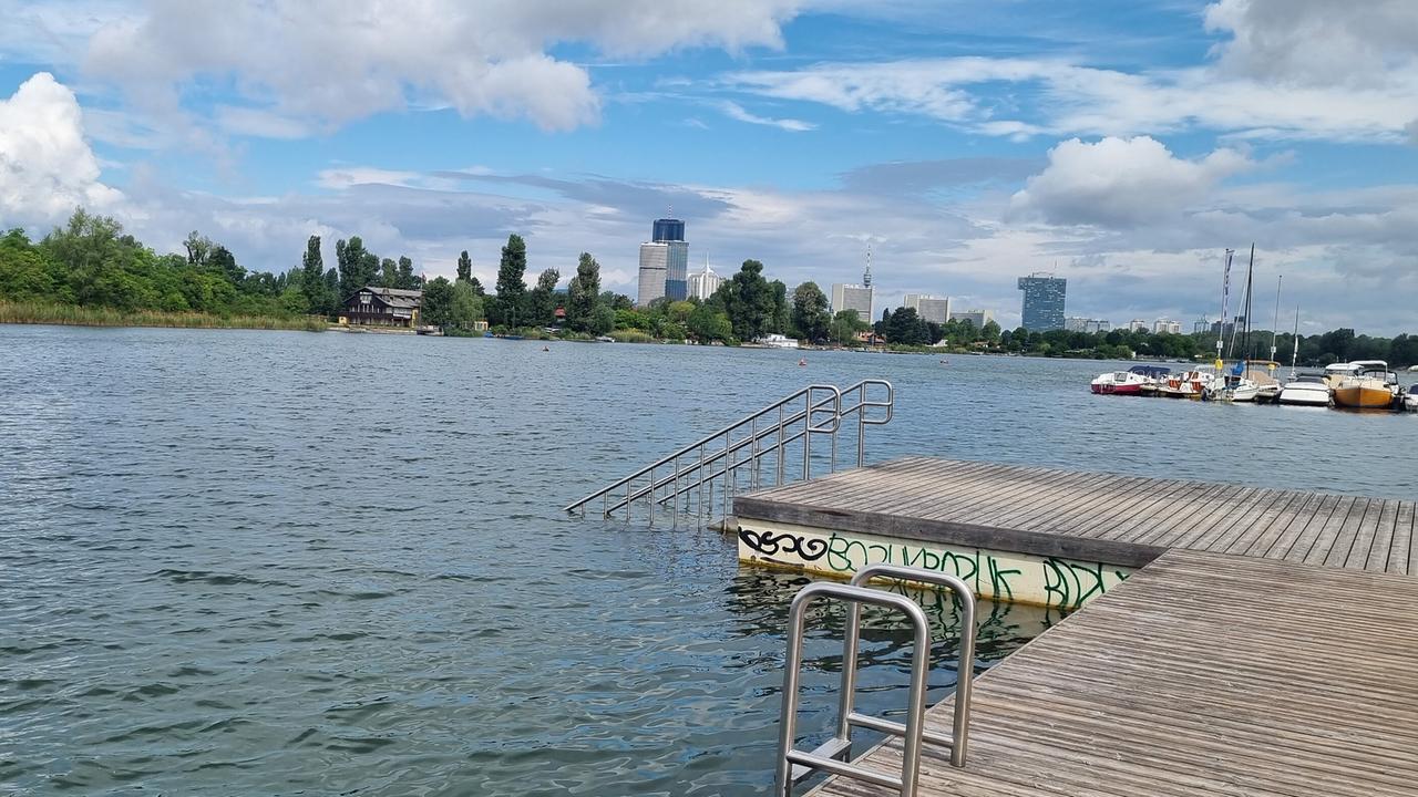 © ORF/Kiwi TV Blick auf die Alte Donau mit einem Badesteg mit Leitern, im Hintergrund ist die Wiener Skyline zu sehen.
