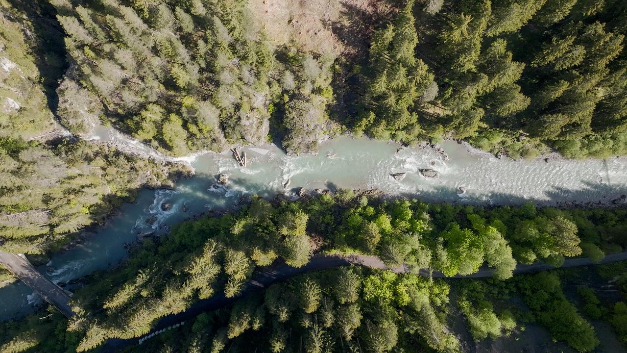 © ORF/Kiwi TV Eine Aufnahme von oben zeigt den Lech, der sich durch einen dichten Wald schlängelt.