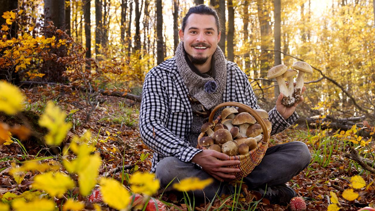 "G´sund in Österreich: Die geheime Welt der Pilze": Christine Reiler entdeckt mit Pilzexperte Stefan Marxer die Vielfalt der Speisepilze im Wienerwald – ein Paradies nicht nur im aktuellen „Superpilzjahr“. Stefan Marxer, der als Pilz-Influencer tausende Fans begeistert, teilt sein Wissen direkt im Wald.
