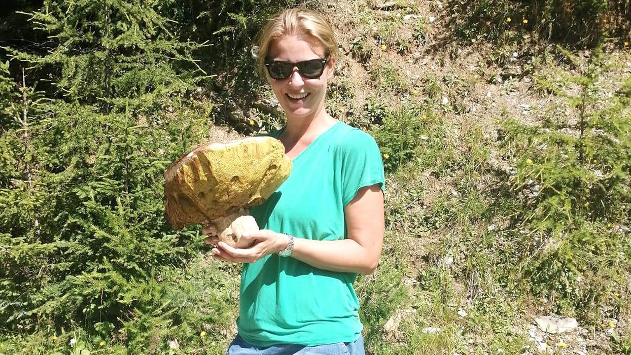 "G´sund in Österreich: Die geheime Welt der Pilze": Christine Reiler beim Pilzesammeln im Wald