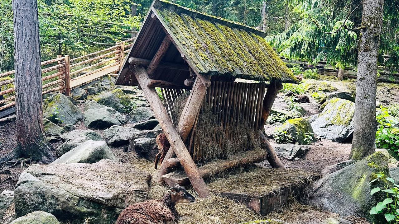 "G´sund in Österreich: Die geheime Welt der Pilze": Ötzidorf Umhausen