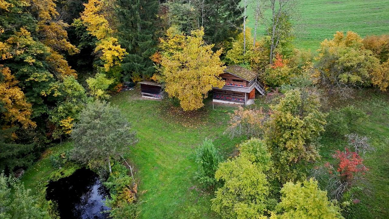 Eine Luftaufnahme zeigt die Bienenhütte auf einer grünen Wiese, umgeben von Bäumen und einem Bach in Peilstein, in der die Bienenlufttherapie entdeckt wurde.