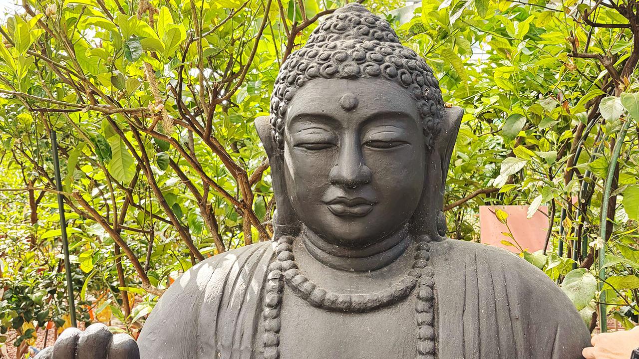 Eine große Buddha-Statue steht zwischen dichten Zitruspflanzen