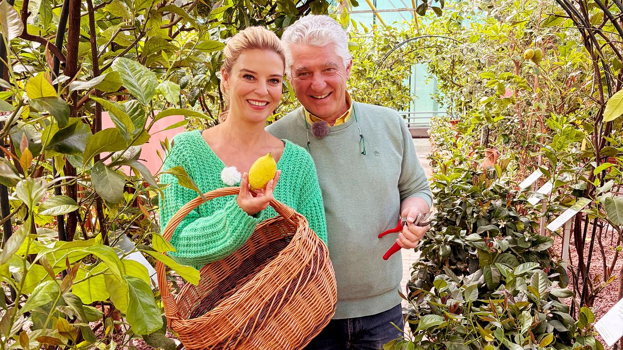 Christine Reiler hält einen Korb mit Zitronen und steht neben Michael in einem Zitronengarten.