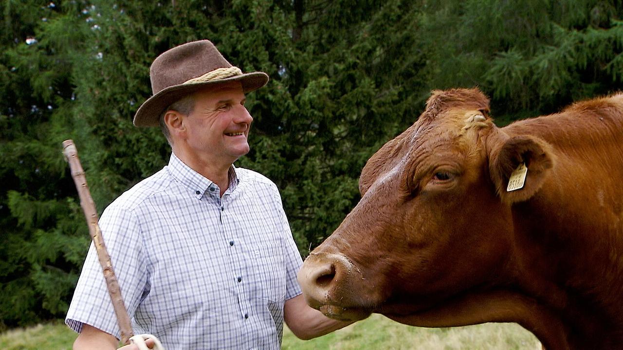 Heimat großer Töchter und Söhne: Josef Obweger - Obmann des Kärntner Almwirtschaftsverein