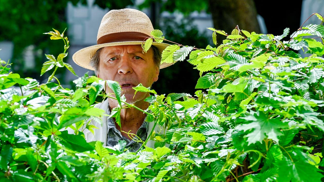 Luigi Vogelsang, ein älterer Mann mit Strohhut, schaut beobachtend aus einem dichten grünen Gebüsch hervor.