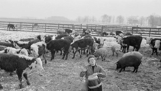 © ORF/ARTE France/Magnum Photos/Dennis Stock James Dean - Generation Rebell