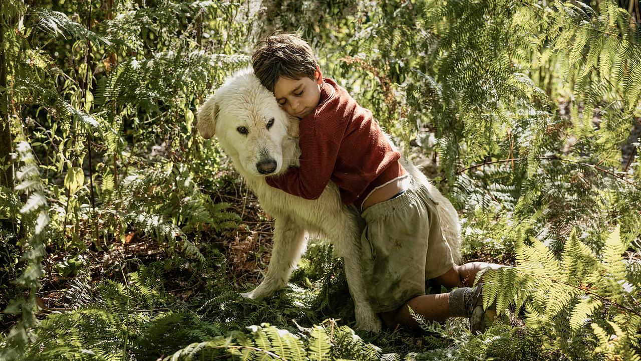 © ORF/Rai Fiction/Picomedia/Thalie Images/Beta Film/Maila Iacovelli, Fabio Zayed Useppe hat von seinem großen Bruder Nino die Hündin Bella geschenkt bekommen.