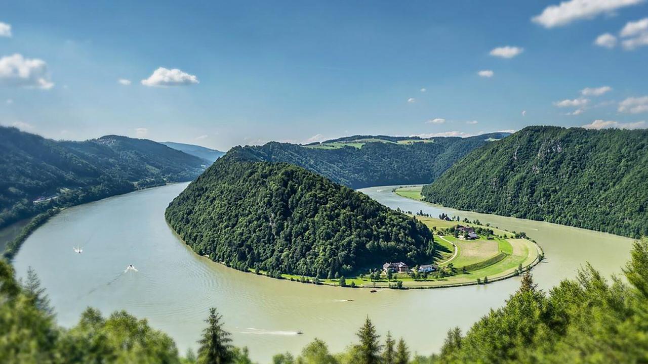 "Mei liabste Weis": Die Donau windet sich hier in besonderer Art und Weise.