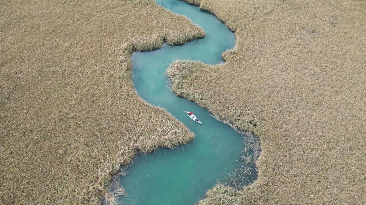 Mei liabste Weis: Der Schilf-Mäander am Faaker See wird von Einheimischen auch Everglades genannt.