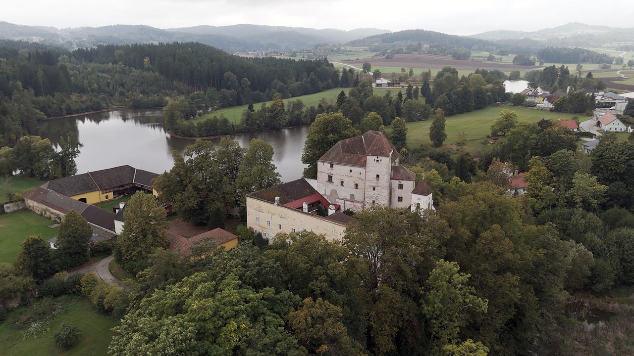 Mei liabste Weis: In den Teichen rund um Schloss Engelstein werden im Herbst Karpfen abgefischt.