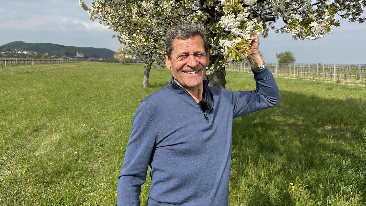 Franz Posch steht vor einem blühenden Kirschbaum auf einer grünen Wiese und hält einen Zweig mit weißen Blüten.