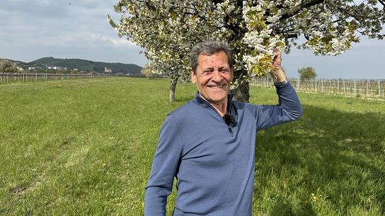 Franz Posch steht vor einem blühenden Kirschbaum auf einer grünen Wiese und hält einen Zweig mit weißen Blüten.