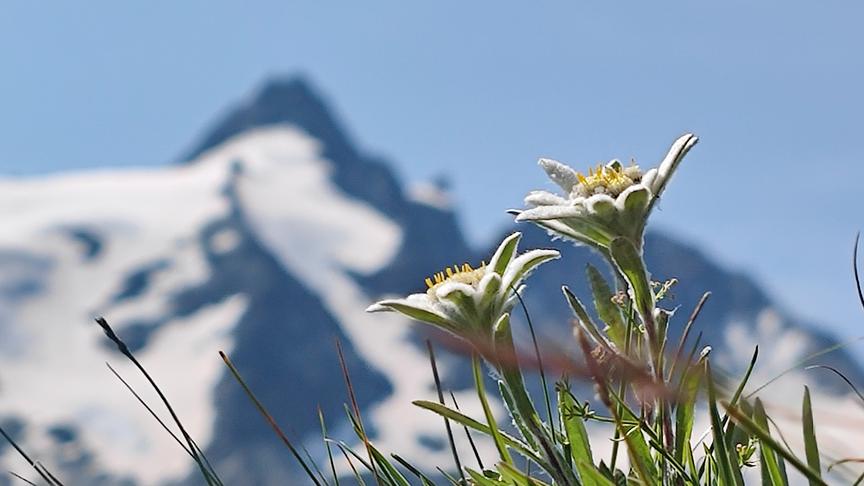 © ORF/Interspot Film/Martin Haupt Mythos Großglockner - Im Wandel der Zeit