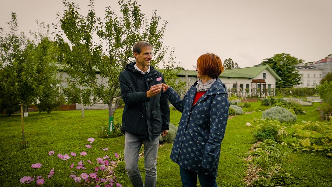 Die Cityfarm ist ein urbaner Lebens- und Lerngarten mitten in Wien. Unter der Leitung von Angelika und Wolfgang Palme wird hier auf mehr als 4.000 m² verschiedenstes Gemüse angebaut