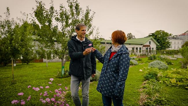 Die Cityfarm ist ein urbaner Lebens- und Lerngarten mitten in Wien. Unter der Leitung von Angelika und Wolfgang Palme wird hier auf mehr als 4.000 m² verschiedenstes Gemüse angebaut