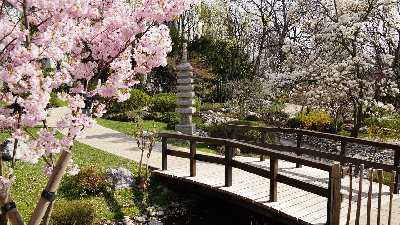 © Leopold Mayrhofer/Natur im Garten Der 19. Wiener Gemeindebezirk Döbling und der Stadtteil Setagaya in Tokio haben ein Freundschafts- und Kulturabkommen. Daraus entstand die Idee, in Döbling einen Japanischen Garten anzulegen