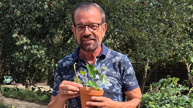 Karl Ploberger weiß alles rund um den Efeu