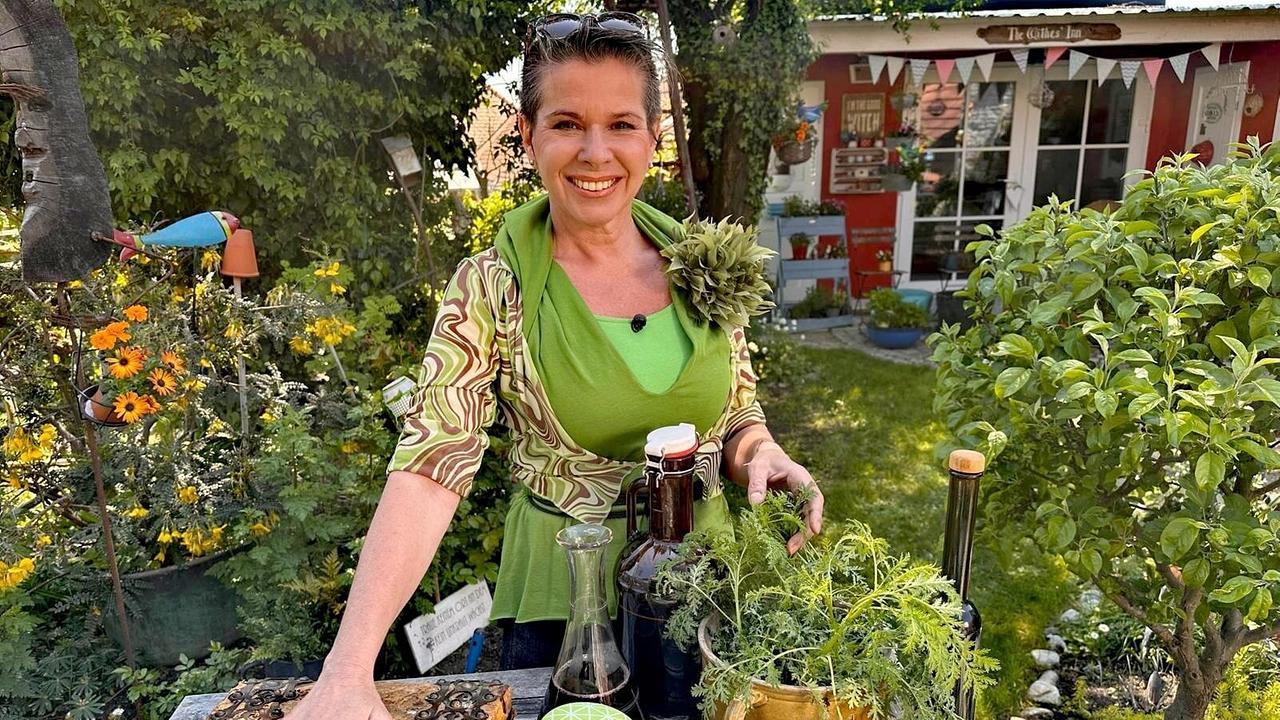 © ORF/Uschi Zezelitsch Ein „Artemisia-Tonikum“ – Kräuterhexe Uschi Zezelitsch stellt diesen Medizinalwein aus einjährigem Beifuß nach einem alten Rezept ihrer Oma her