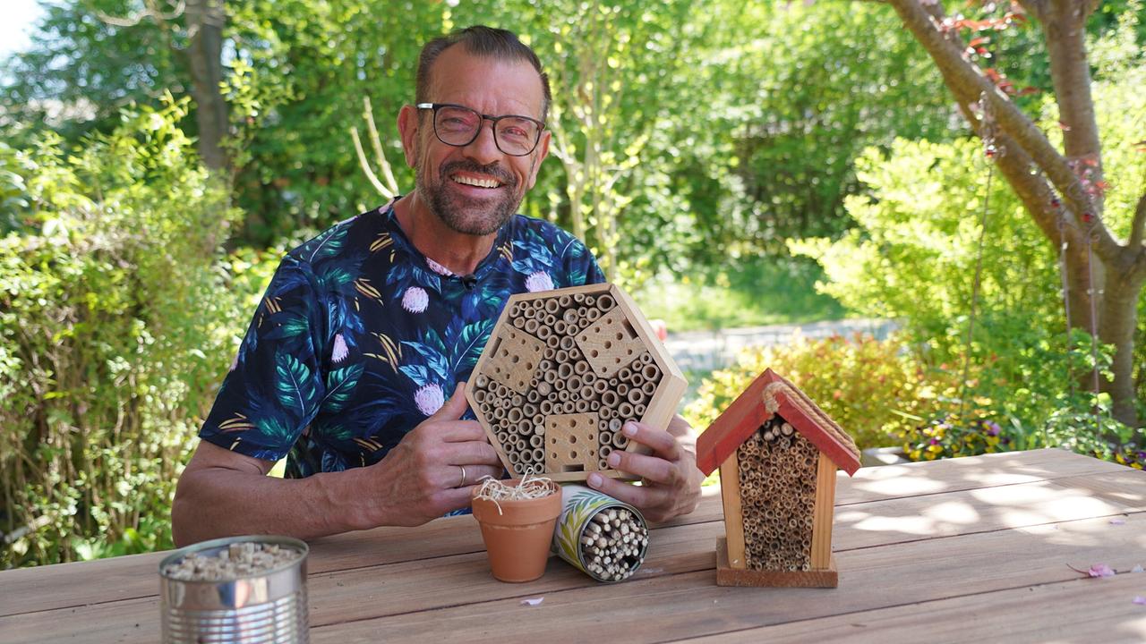 © Leopold Mayrhofer/Natur im Garten Karl Ploberger. Nützlinge sind unsere fleißigen Helfer im Naturgarten und wir können viel für sie tun: geeignete Nistplätze und Unterkünfte sowie ein reichhaltiges Angebot an verschiedenen Pflanzen helfen Wildbienen, aber auch anderen Nützlingen wie Schmetterlingen, Marienkäfer und anderen Insekten dabei, zu überleben
