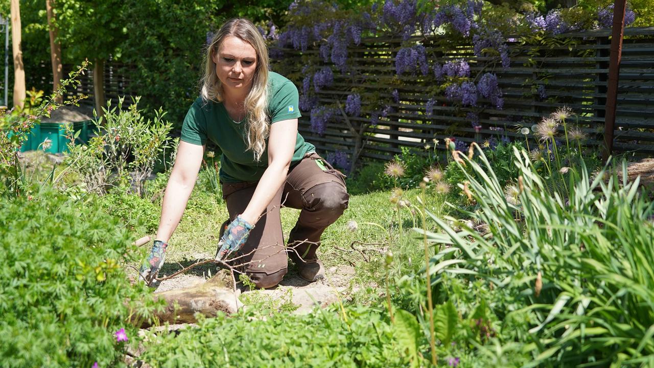 © Leopold Mayrhofer/Natur im Garten In der „Natur sucht Garten“-Anlage auf der Garten Tulln entsteht ein „Sandarium“, ein künstlich angelegter Nistbereich für erdbewohnende Insekten