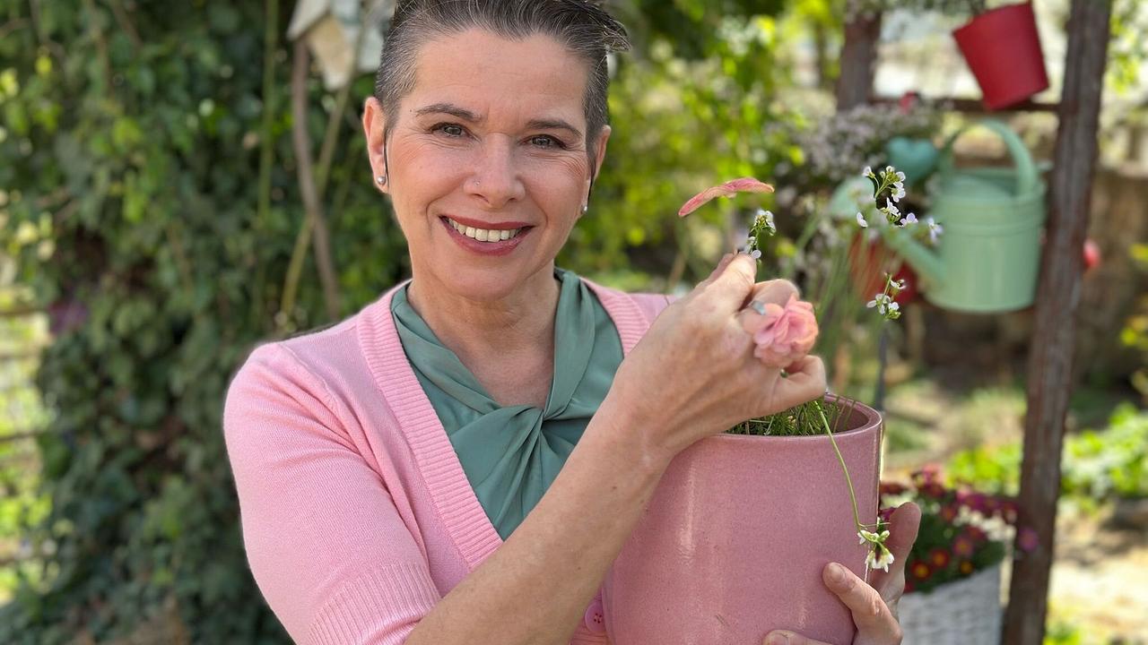 © ORF/Uschi Zezelitsch Kräuterhexe Uschi Zezelitsch bereitet köstliche Blätterteig-Schmetterlinge mit einem besonderen Aufstrich mit jungen Blättern und Blüten des würzigen Wiesenschaumkrauts zu