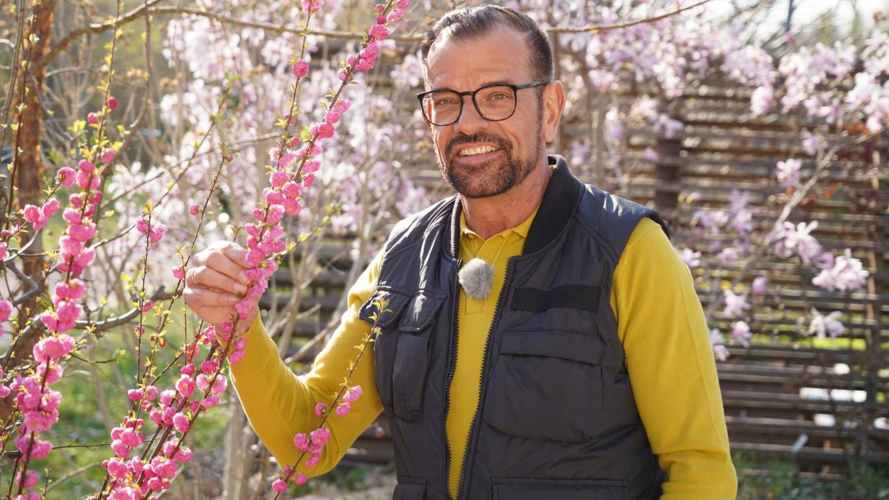 © Leopold Mayrhofer/Natur im Garten Karl Ploberger zeigt in sechs Schritten den Weg zum Schmetterlingsparadies im eigenen Garten