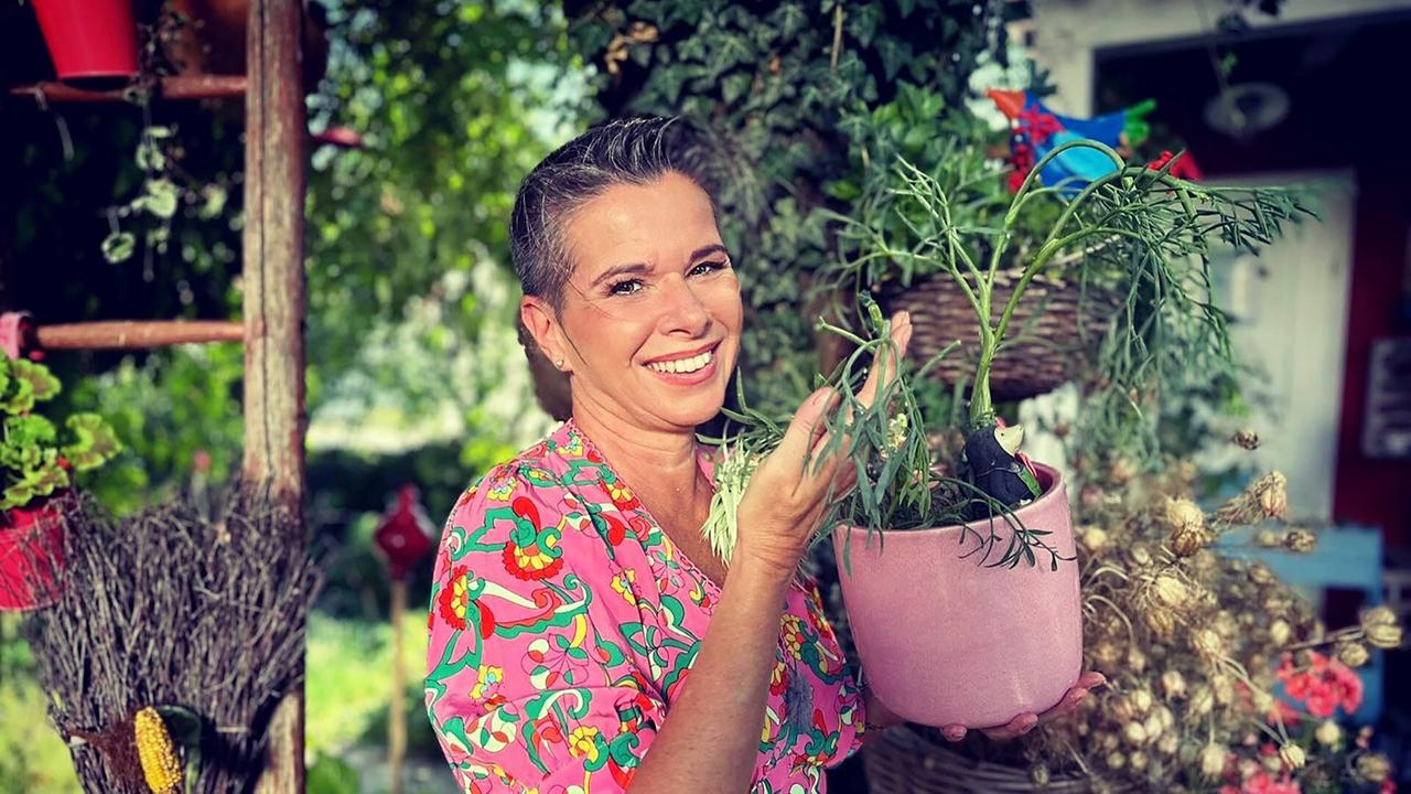 © ORF/Uschi Zezelitsch Viele kennen ihn vielleicht von einem Urlaub am Mittelmeer – den Meerfenchel. Kräuterhexe Uschi Zezelitsch setzt daraus ein Öl an, das zur Feuchtigkeitspflege der Haut verwendet werden kann