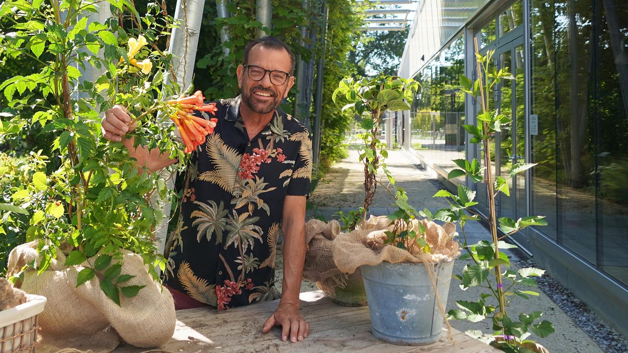 © Leopold Mayrhofer/Natur im Garten Mit Kletterpflanzen kann auf engstem Raum die dritte Dimension erobert werden. Karl Ploberger hat Tipps zu den verschiedenen Arten von Kletterern