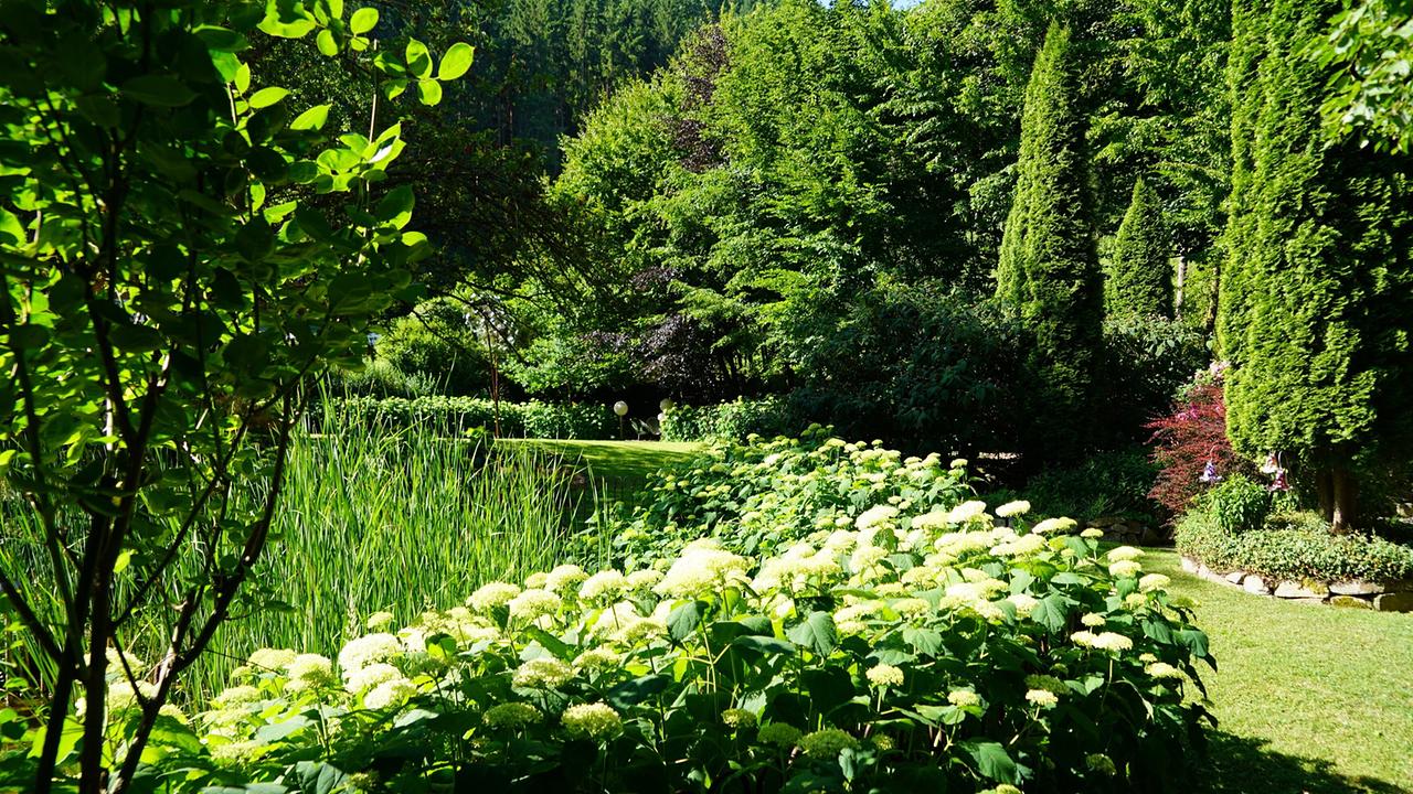 © Leopold Mayrhofer/Natur im Garten Ein wahres Naturparadies haben Ingrid und Alexander Moser im steirischen St. Marein im Mürztal zum Leben erweckt. Blickfang im 3500m² großen Garten ist der Schwimmteich, umrahmt von einer blühenden Rosenhecke. Kunst ist für die beiden ein wichtiges Mittel, um den Garten optisch ansprechend zu vollenden