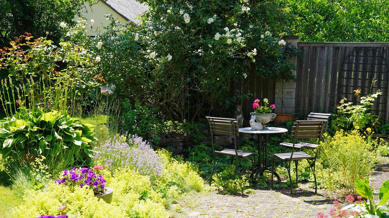 © Leopold Mayrhofer/Natur im Garten Vor fast 40 Jahren hat sich Barbara Schmidt am Rande von St. Pölten ihren Gartentraum erfüllt. Ein kleiner Teich und ein Salettl sorgen für gemütliche Ecken im grünen Paradies. Außerdem zieren eine Sammlung alter Obstsorten, ein Glashaus, ein Hochbeet und sogar ein kleiner Waldbereich den Garten