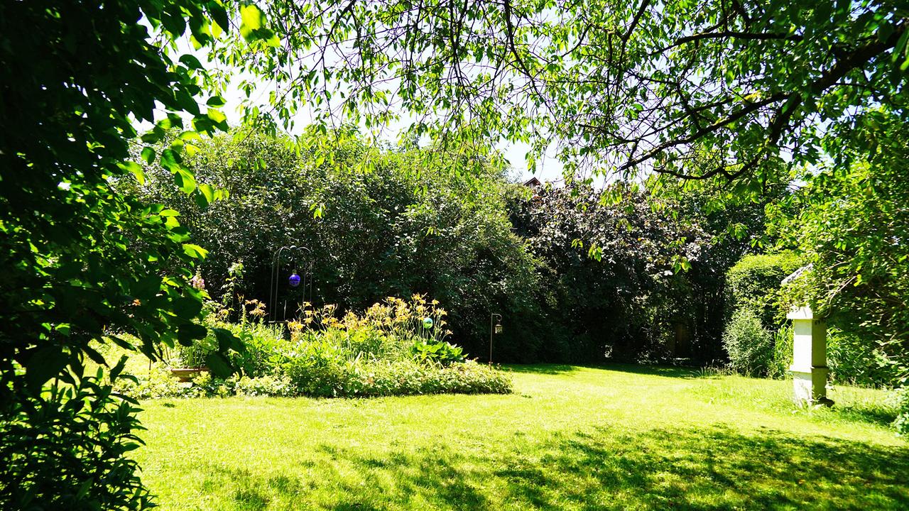 © Leopold Mayrhofer/Natur im Garten Vor fast 40 Jahren hat sich Barbara Schmidt am Rande von St. Pölten ihren Gartentraum erfüllt. Ein kleiner Teich und ein Salettl sorgen für gemütliche Ecken im grünen Paradies. Außerdem zieren eine Sammlung alter Obstsorten, ein Glashaus, ein Hochbeet und sogar ein kleiner Waldbereich den Garten