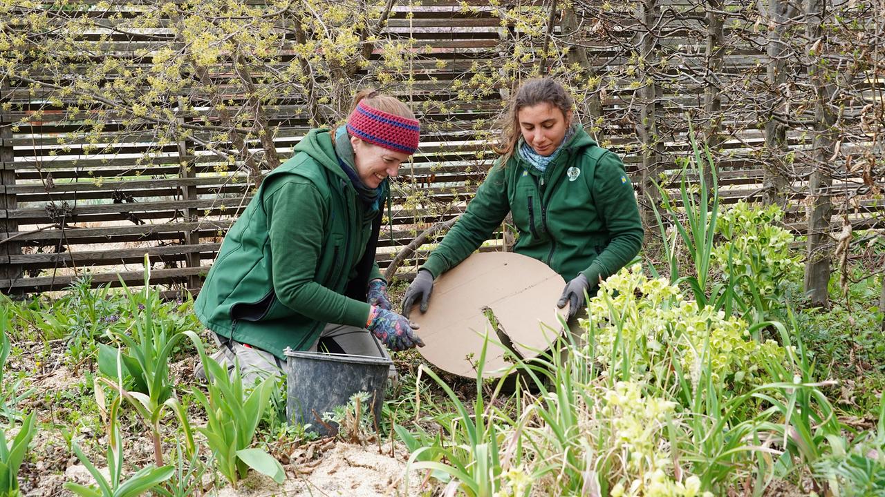 © Leopold Mayrhofer/Natur im Garten Die Gärtnerinnen auf der Garten Tulln gestalten die in die Jahre gekommene „Natur sucht Garten“-Anlage neu. Diesmal werden verschiedene Wildsträucher gepflanzt