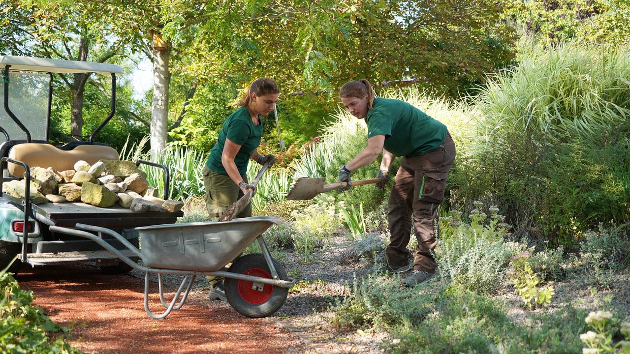 Die Gärtnerinnen auf der Garten Tulln präsentieren den Gold- und Silber-Schaugarten. Der zeitgemäße Kiesgarten zeigt, dass auch bei der Reduktion auf zwei Leitfarben mit Nuancen eine Farbenpracht entstehen kann