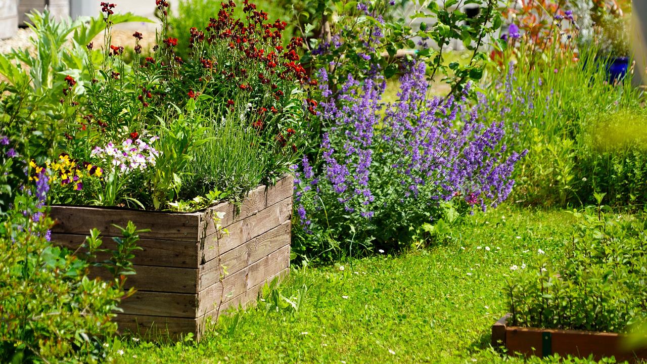 Am weitläufigen Gelände der Klinik Hietzing in Wien bietet ein besonderer Garten einen optimalen Raum für Therapie, Begegnung und Vernetzung. Hier gedeihen Kräuter, Gemüse und Beeren, die von Patientinnen und Patienten und deren Angehörigen sowie Mitarbeiterinnen und Mitarbeiter gesät, gepflegt, geerntet und verarbeitet werden