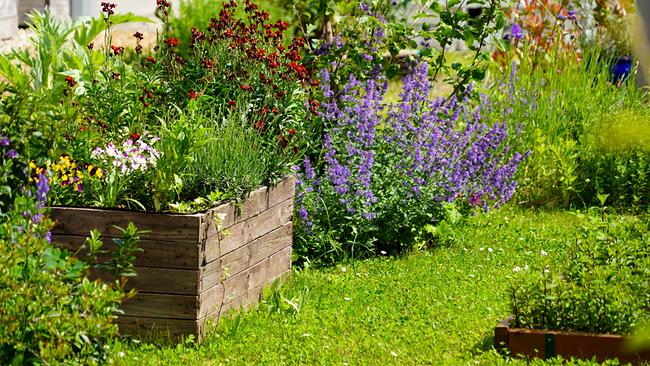 Am weitläufigen Gelände der Klinik Hietzing in Wien bietet ein besonderer Garten einen optimalen Raum für Therapie, Begegnung und Vernetzung. Hier gedeihen Kräuter, Gemüse und Beeren, die von Patientinnen und Patienten und deren Angehörigen sowie Mitarbeiterinnen und Mitarbeiter gesät, gepflegt, geerntet und verarbeitet werden