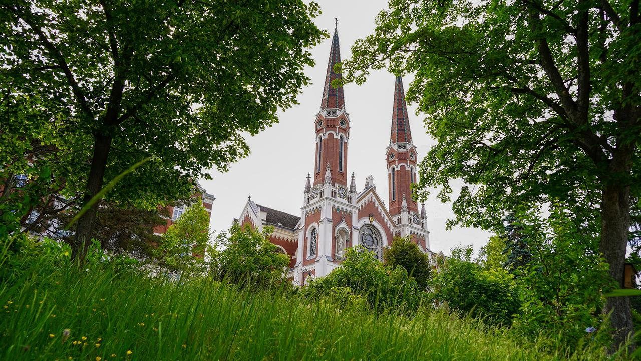 Am weitläufigen Gelände der Klinik Hietzing in Wien bietet ein besonderer Garten einen optimalen Raum für Therapie, Begegnung und Vernetzung. Hier gedeihen Kräuter, Gemüse und Beeren, die von Patientinnen und Patienten und deren Angehörigen sowie Mitarbeiterinnen und Mitarbeiter gesät, gepflegt, geerntet und verarbeitet werden