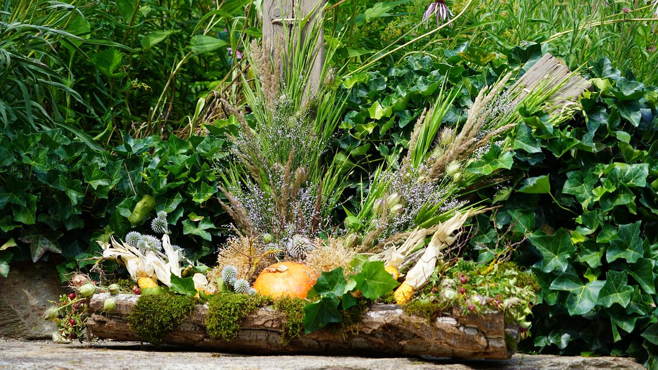 Herbstliche Dekoration aus Moos, Kürbis, Gräsern und Blättern auf einem Holzstück vor grünem Efeu.