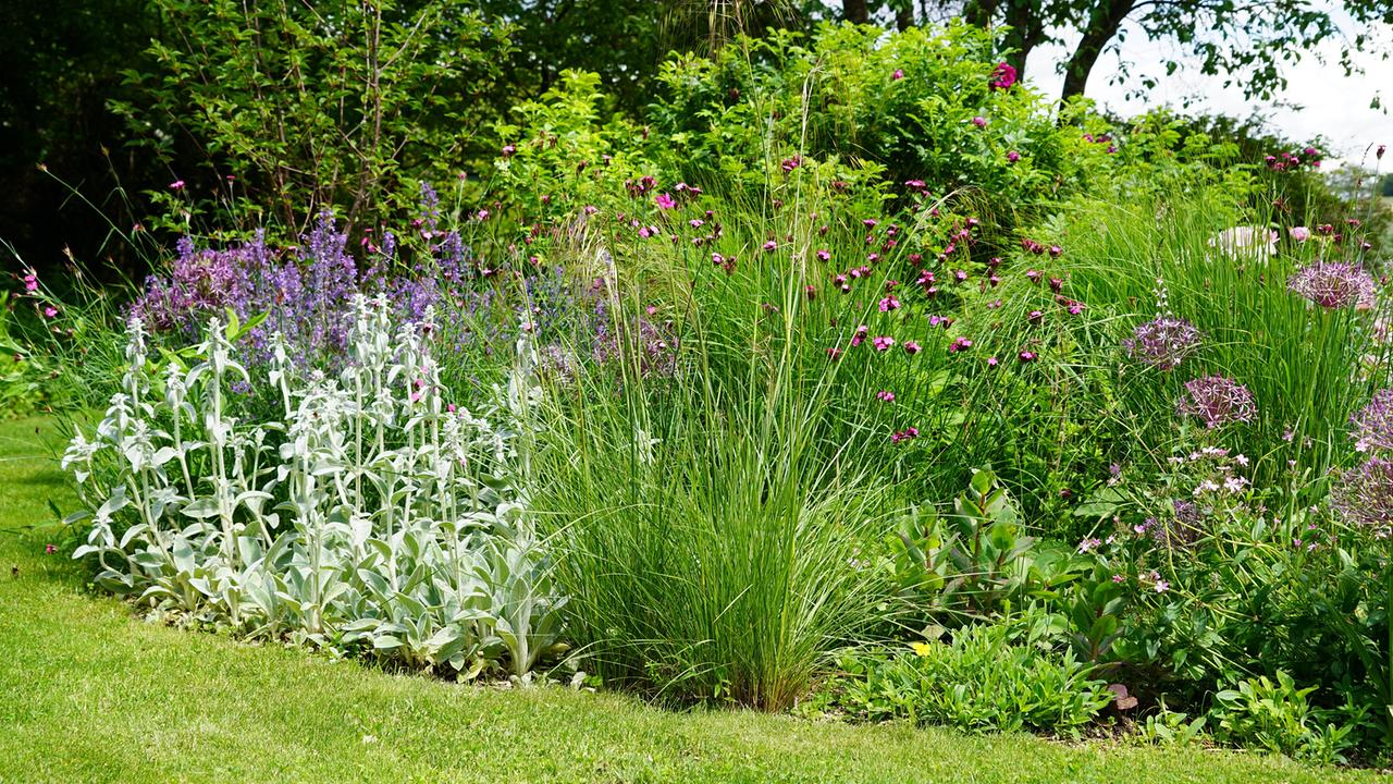Üppiges Staudenbeet mit verschiedenen Blüten und Gräsern im Garten von Andreas und Michaela Hofer.