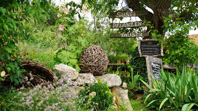 Ein Naturgarten, in dem viele Pflanzen getauscht werden. Das ist das vielfältige, grüne Paradies von Susi Mitas am östlichen Ortsrand von Schöngrabern gelegen. Ihr Motto lautet: Die Natur ist die beste Gärtnerin – darum lässt sie wachsen, was wächst, und gartelt ökologisch