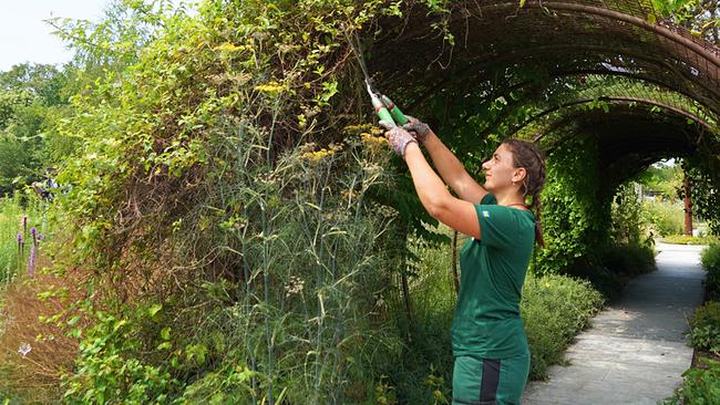 Die Gärtnerinnen auf der Garten Tulln präsentieren den Kletterpflanzengarten